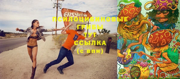 гашик Осинники
