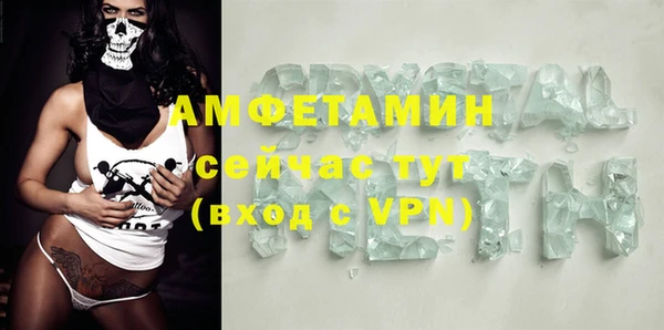 гашик Осинники