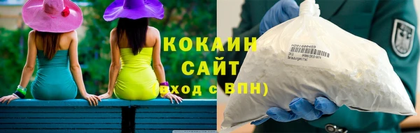 гашик Осинники