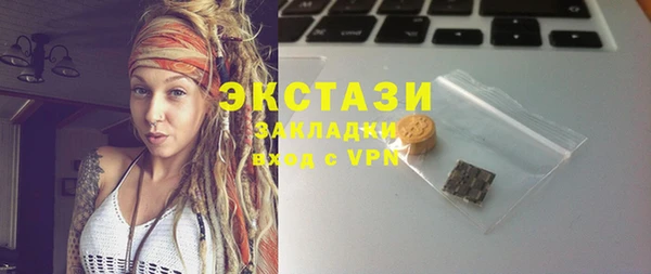 гашик Осинники