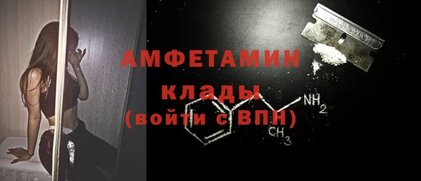 гашик Осинники