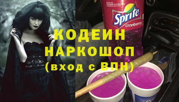 соль ск Няндома