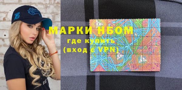 гашик Осинники