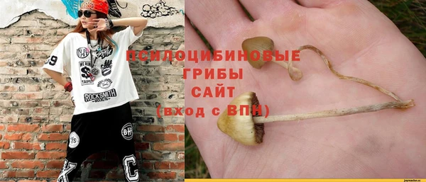 бутират Осташков