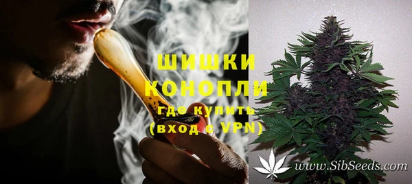 гашик Осинники