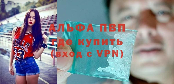 гашик Осинники