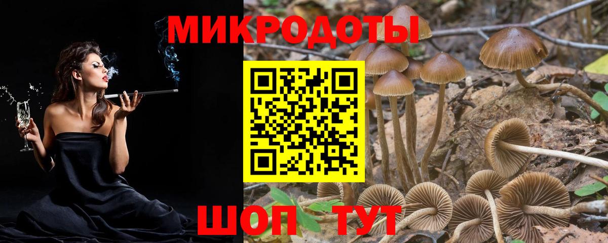 Галлюциногенные грибы прущие грибы  Вход с VPN  Петровск 